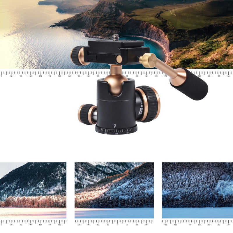 Ruittos Bestshoot Tripod Head, Flexi-Tilt Universal Ball Head with Quick Release Plate, 1/4 Screw for DSLR Camera, Video Camcorder, Cellphone/Pad, Mirrorless Cameras, Ring Light, Selfie - Image 4